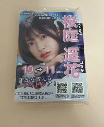 사쿠라바 하루카 포켓 티슈