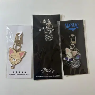 Stray Kids 아이엔 키링