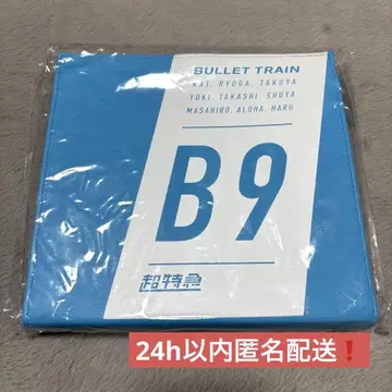 초특급 카이 B9 멀티 굿즈 케이스 브로마이드 트레이딩 카드 엽서