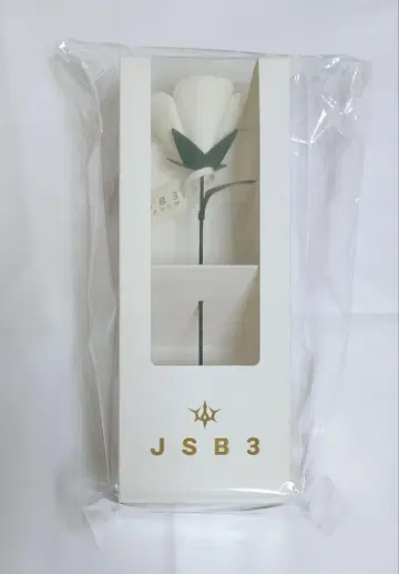 3대째 JSB 아트 로즈 비닐 백