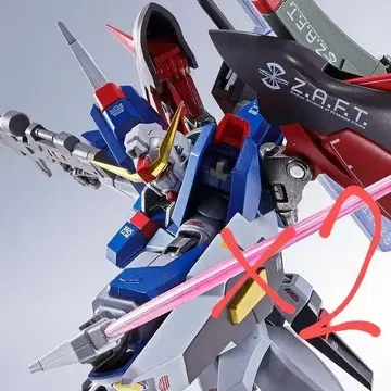 METAL ROBOT혼 데스티니 건담 Re:Coordinate x 2