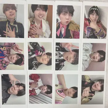 팬더 드래곤 나기 하피카 12장