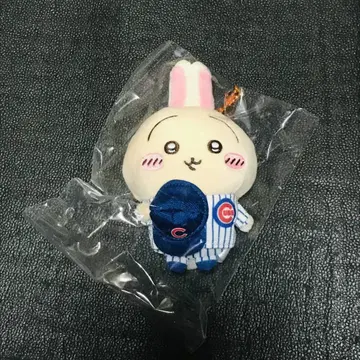 컵스 토끼