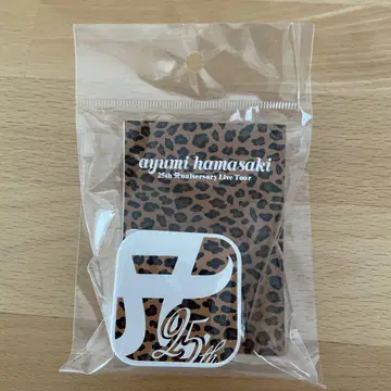 하마사키 아유미 어댑터