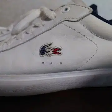 LACOSTE 화이트 스니커즈 us7 24cm 상당