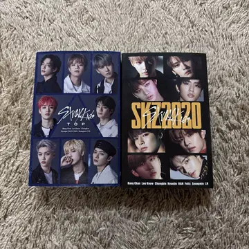 StrayKids skz2020 top 카세트