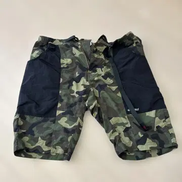 그라미치 별주