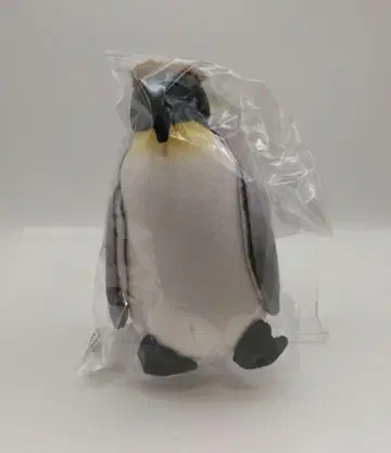 황제펭귄 사춘기 파우치