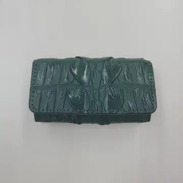 크로커다일 키케이스