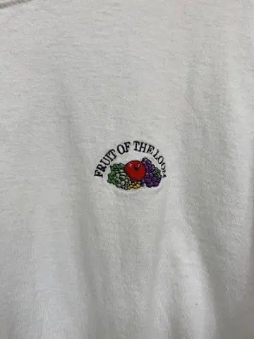 레어 FRUIT OF THE LOOM 후르츠 자수 T셔츠 XL