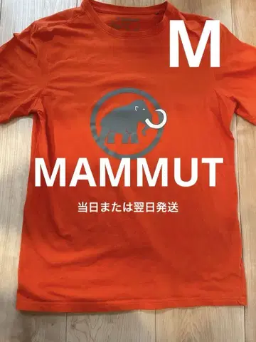 MAMMUT 만모스 로고 티셔츠 S