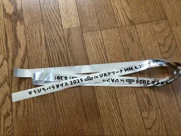 컬러풀피치 카라피치 파라다이스 은테이프