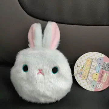 파스텔 라비당고 민트
