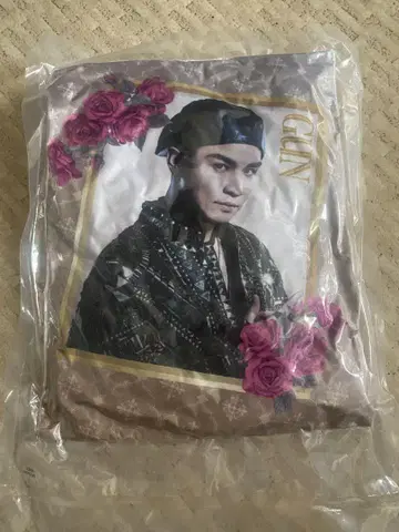 이와타 타카노리 쿠션