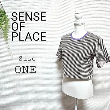 SENSE OF PLACE 스트라이프 크롭 반팔 티셔츠 사이즈 ONE