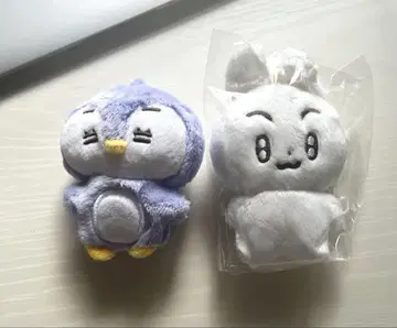 포바투 수빈 휴닝카이 익명 배송