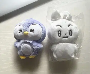 포바투 수빈 휴닝카이 익명 배송