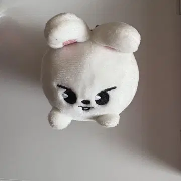 straykids 스키즈 리노 leebit Lee 비트 쯔무 쯔무