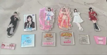 AKB48 후쿠오카 세이나 아크릴 스탠드 묶음 판매