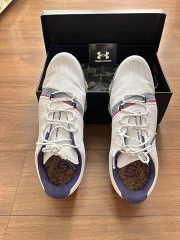 Under Armour 골프화