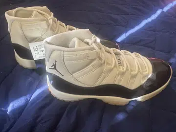 Air Jordan 24.5cm