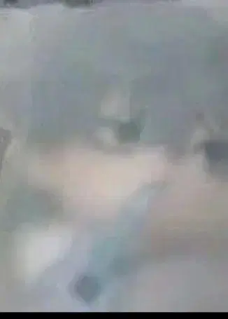 에이리언 스테이지 봉제 인형 불가사리 티르 에이스테 해성체