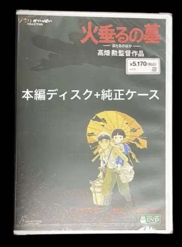 반딧불이의 묘 DVD 본편 디스크 + 정품 케이스 포함