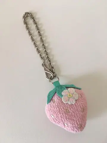 페이러 딸기 참