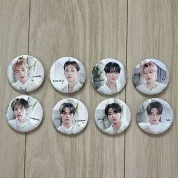 straykids 캔뱃지 매니악