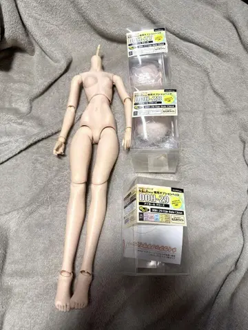 돌피드림 바디 헤드