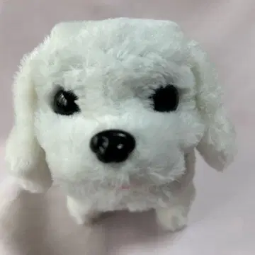 완구 AI 강아지