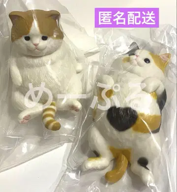 쫀득 찹쌀 [ 배냇자세 삼색 고양이 ] [ 통통한 하치와레 브라운 ]