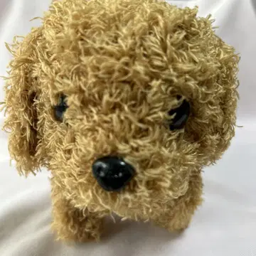 완구 AI 개 인스타그램에서 홍보되고 있는 제품