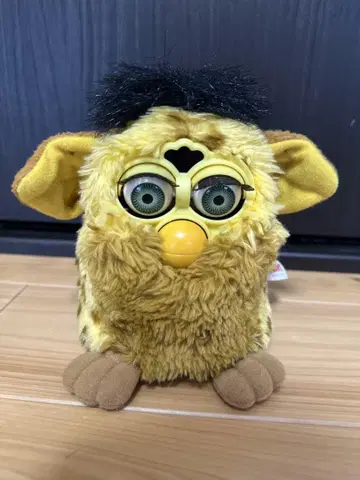 초대 퍼비