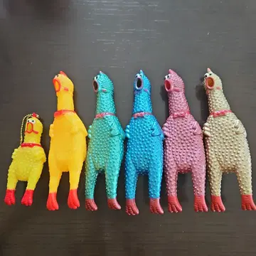 입 다무는 법을 모르는 겁쟁이 녀석