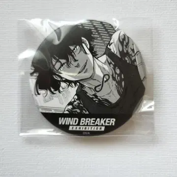 윈드 브레이커 WIND BREAKER 원작 컷 캔뱃지 엔도 카즈마