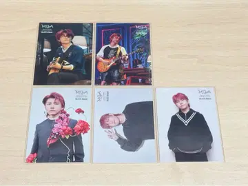 Mrs. GREEN APPLE 포토 카드 팝업 와카이 히로토 5매