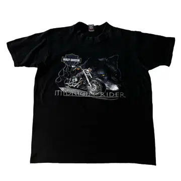 1999년 Harley-Davidson 퍼플 프레임 코요테