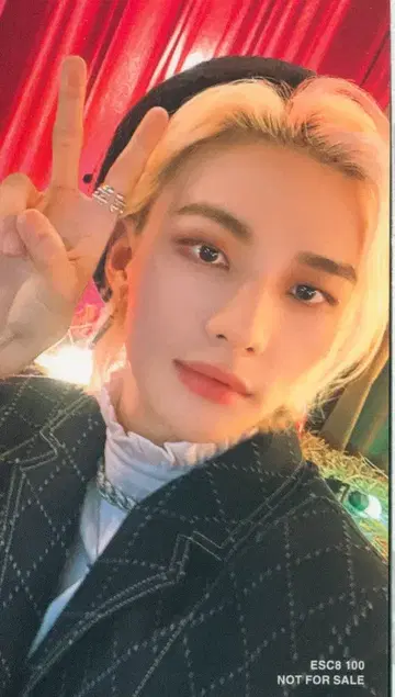 StrayKids FC반 Hyunjin Circus 양면
