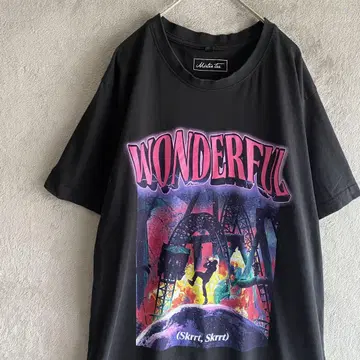 Mister Tee 그래픽 티셔츠 WONDERFUL 프린트 XL