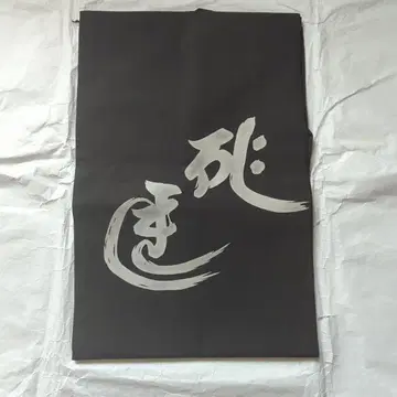 나고야 오비 범자