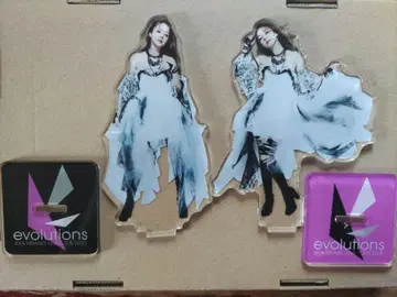 히라노 아야 랜덤 아크릴 스탠드 evolutions 23698