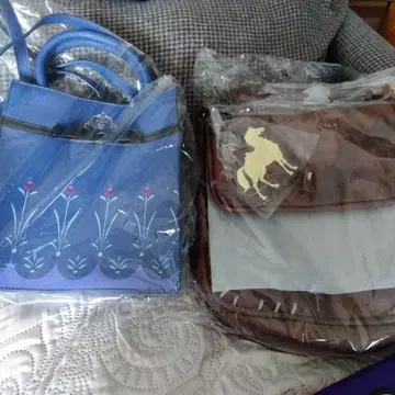 아나와 눈의 여왕