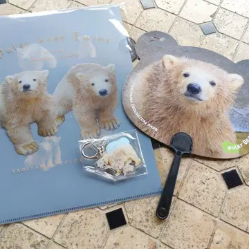 [익명 배송] 야기야마 동물원 쌍둥이 북극곰 굿즈 인기 3종 세트