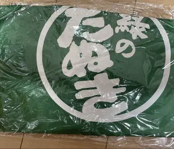 녹색 너구리 점퍼