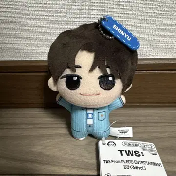 TWS SD 인형 vol.1 SHINYU 신유 투어스
