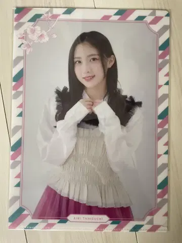 미개봉 새상품 타니구치 아이 사쿠라자카46 클리어 파일