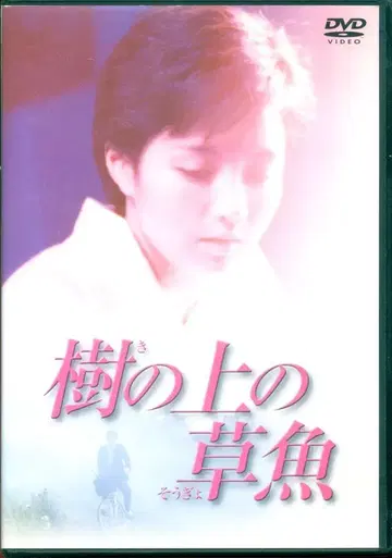 일본 국내 영화 DVD 나무 위의 초어
