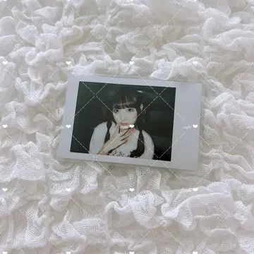 치바유나 해파리 폴라로이드