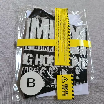 미개봉 새상품 맥시멈 더 호르몬 마스크 2매 세트 B